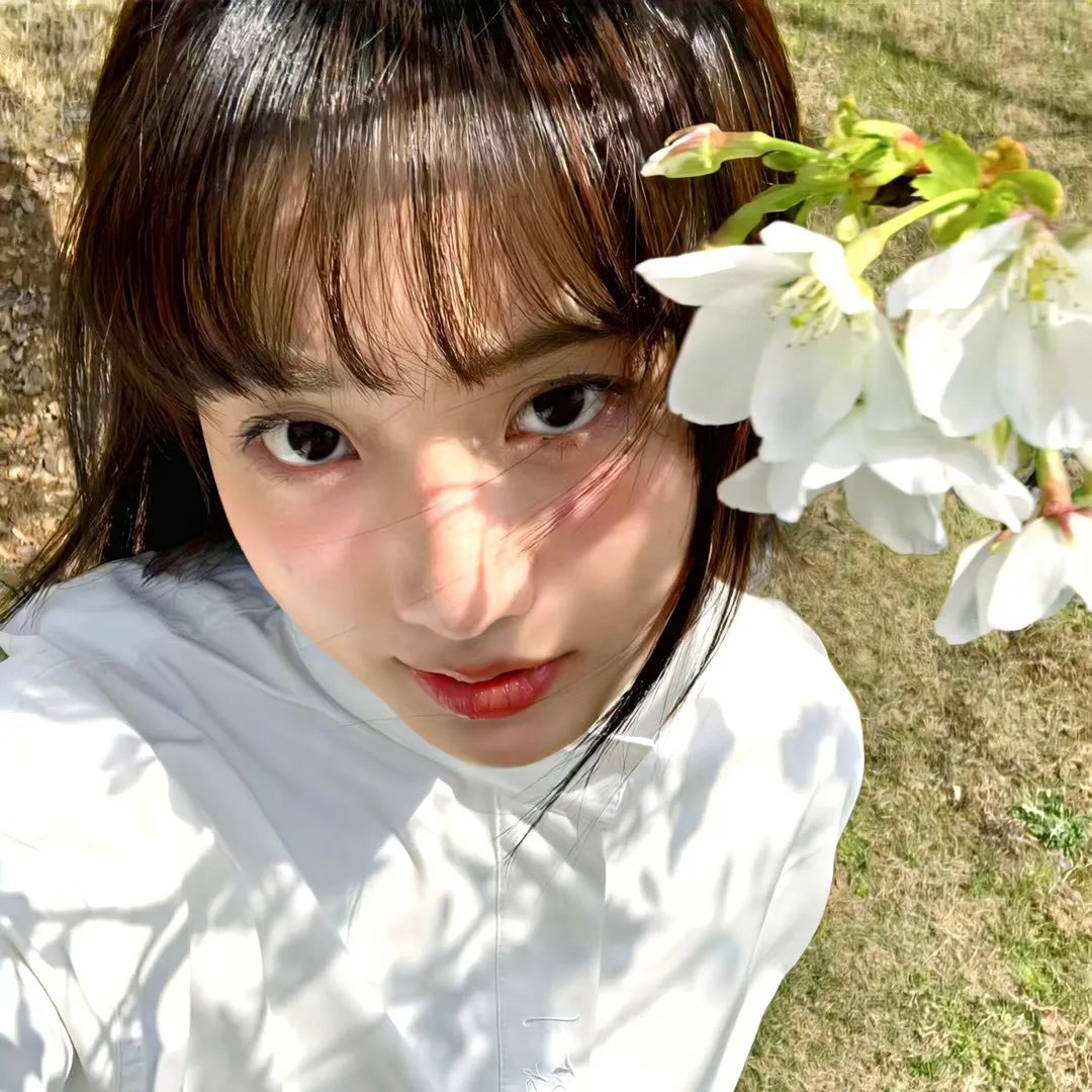 瑶台仙韵
